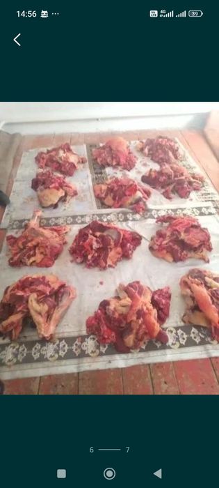 Мал сою қасапшы.