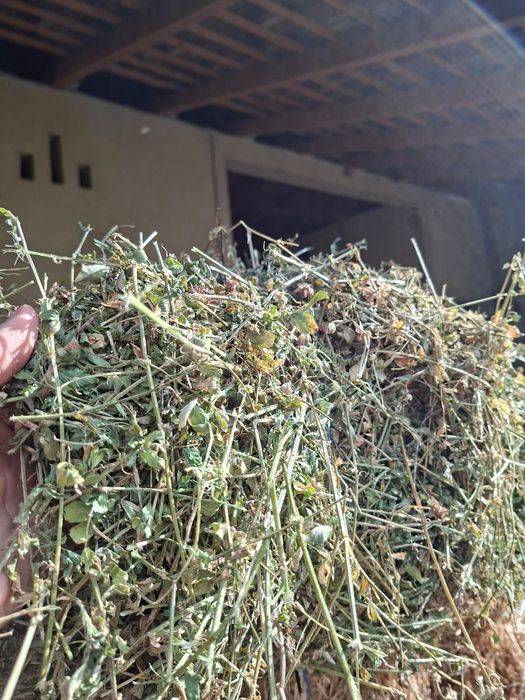 Vand baloti de lucerna