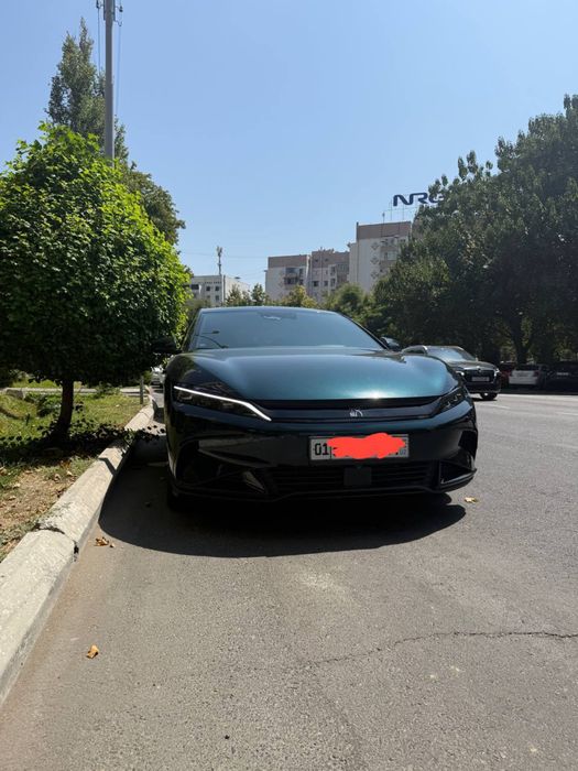 Byd han 3.9s limited edition