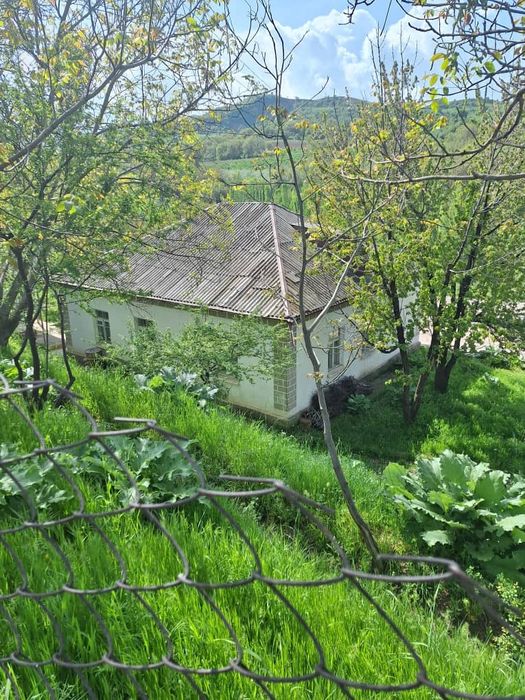 24 соттик участок сотилади Бустонлик тумани Галавасой Тогизкул кишлоги