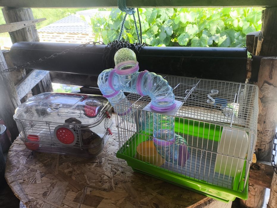Cuști pentru hamsteri