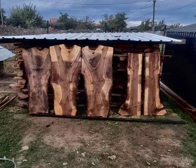 Орехов материал 7см