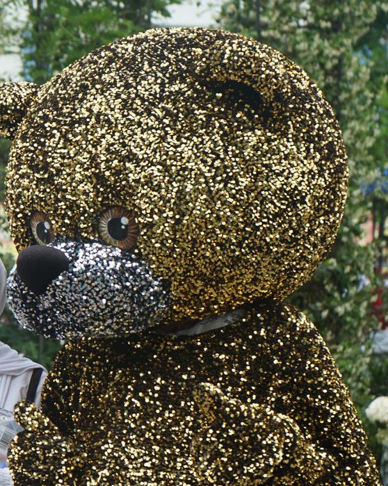 Химчистка глажка установка