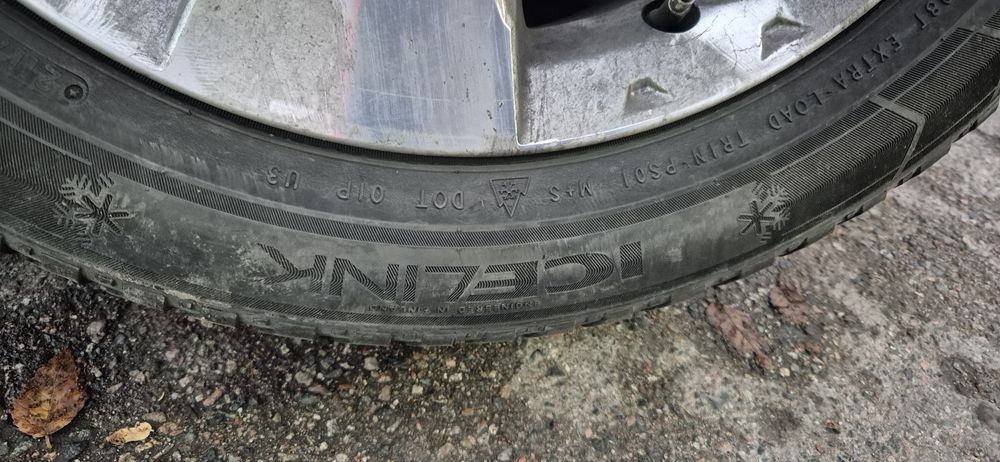 Резина зимняя triangle