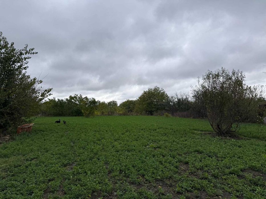 Продава се Къща в с. Спасово, Област Добрич - 124 кв.м за 186 €/кв.м - Снимка #10