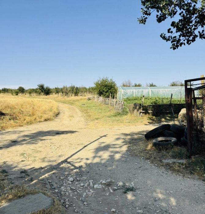Fermă Rasova /Constanța Afacere 107 ha comasate