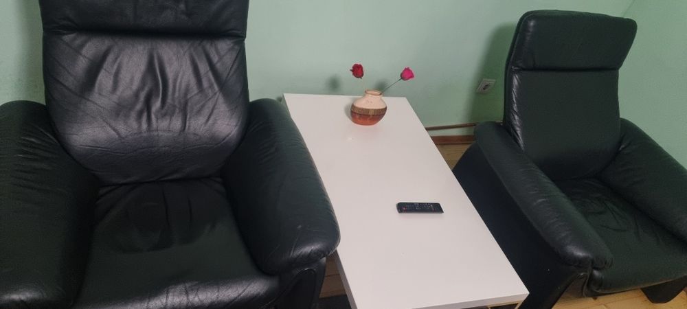 Fotolii din piele naturala 500 lei