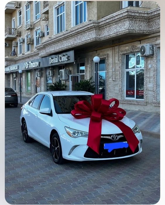 Бантик на машину.Бант на Авто