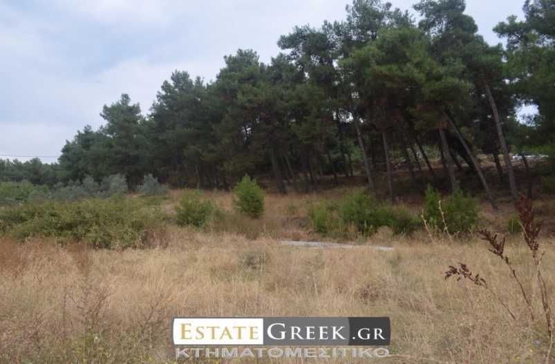 Продава се Парцел в Пловдив, Филипово - 470 кв.м за 81 €/кв.м - Снимка #10