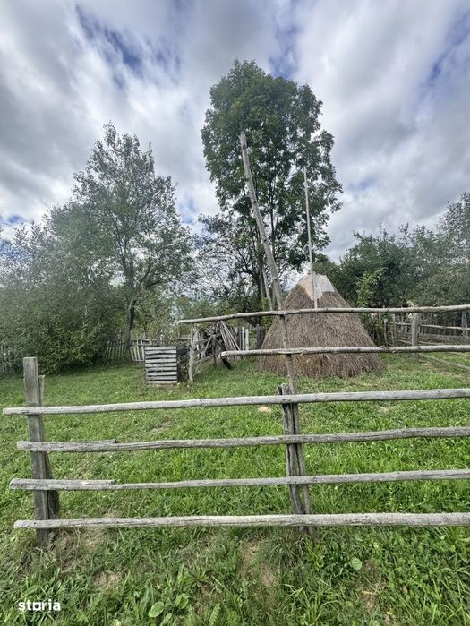6.605 mp de natura pura – refugiu, afacere sau investitie in Candest