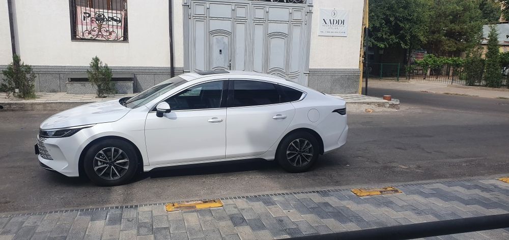 BYD chazor 2024 til 68000km