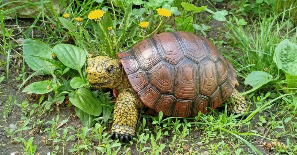 Черепаха садовая фигура