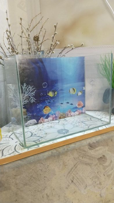 Аквариум маленький
