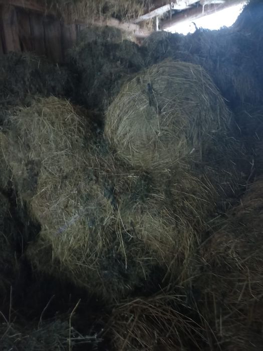 Vând baloți de fan,lucerna,paie de ovaz