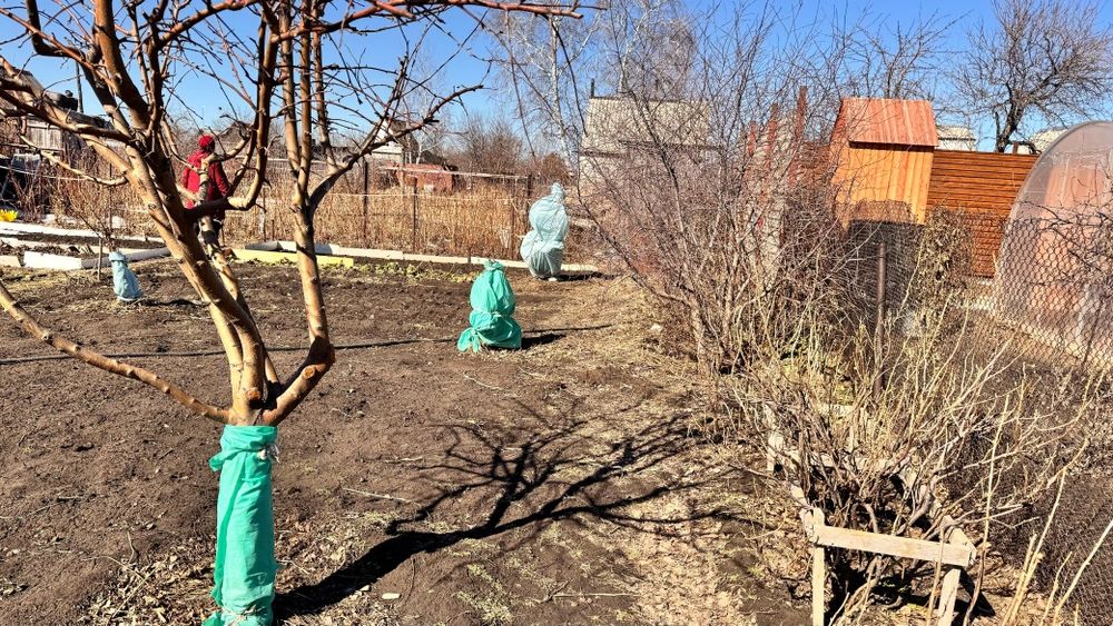Дачный участок. г.Костанай , СО “Пригородное”,