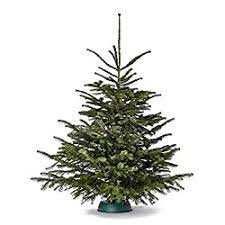 Чисто нова стойка за елха с резервоар за вода.