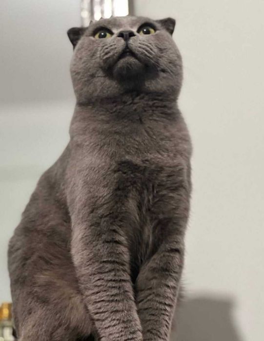 Jinsiy aloqani tomosha qiling: bobo oz nabirasini jinsiy aloqa bilan jazolaydi