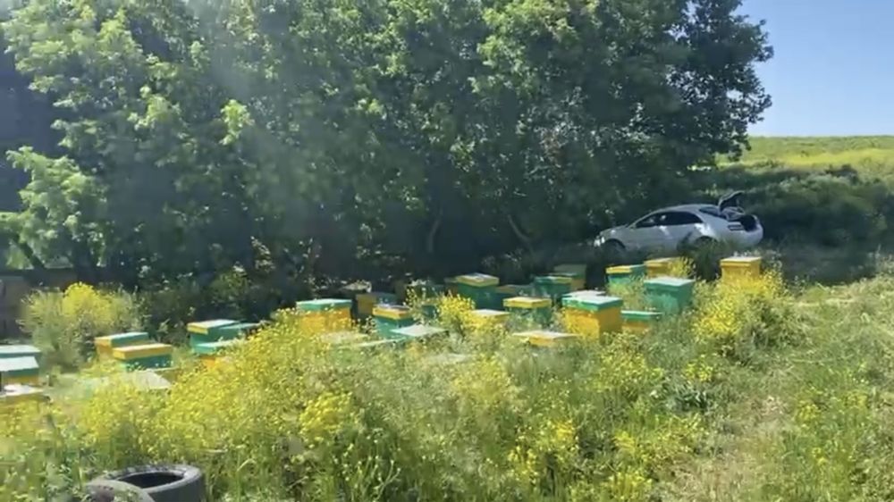 Продам земельный участок