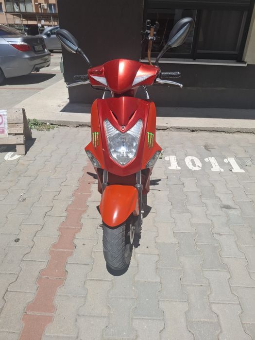 Vand  sciter 49 cu permis
