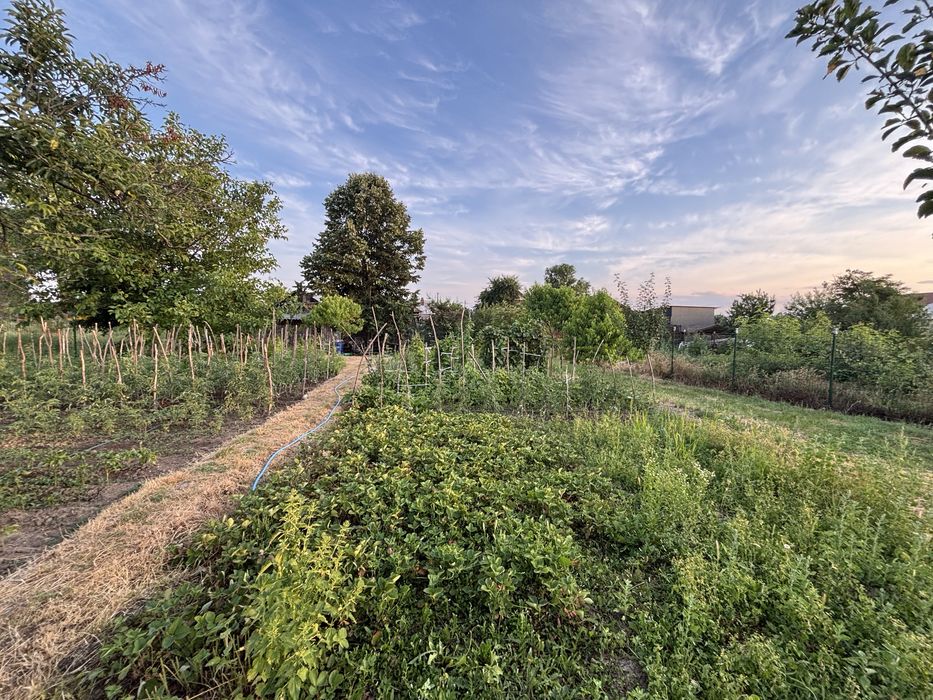 Casă și teren 3.300 mp – Țuțulești, Argeș | deschidere 18 m la stradă principală