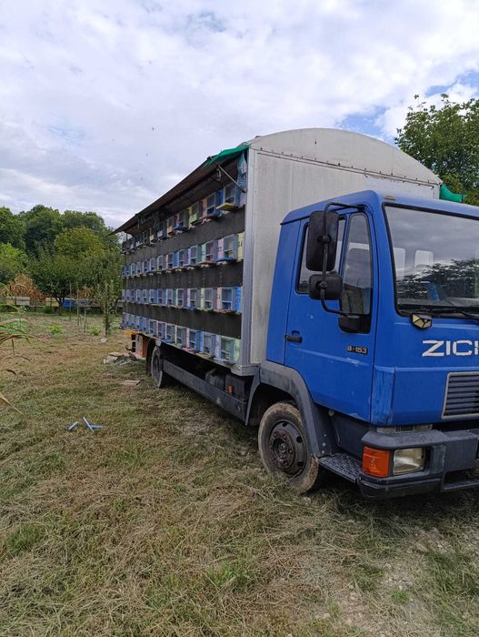 Stupina apicola 96 familii