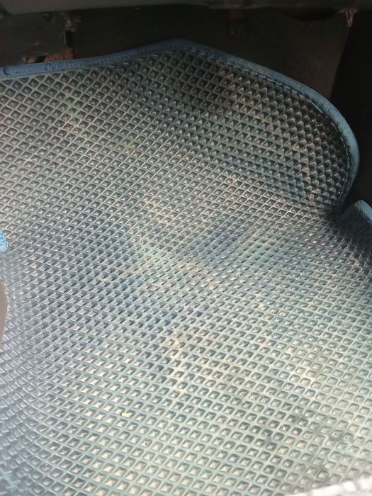 Нексия эва полик