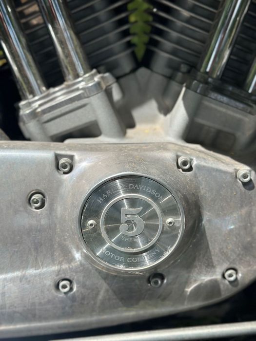 Harley-Davidson XL 883 Sportster Harley Davidson 883 S&S Hooligan Vance and Hines
