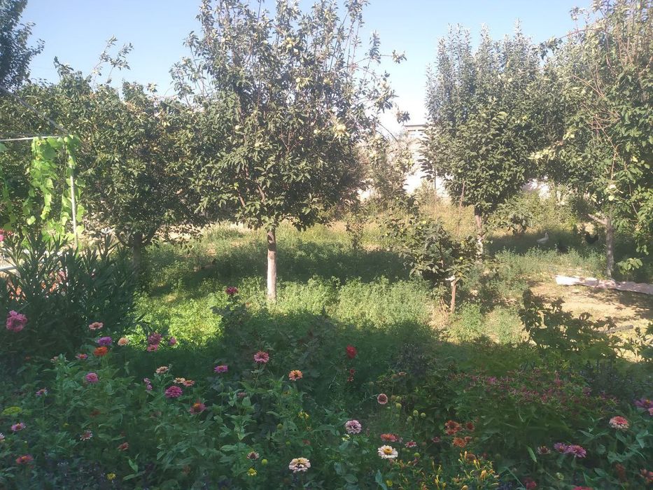 Hamma sharoitlari mavjud yer maydoni 6 sotix