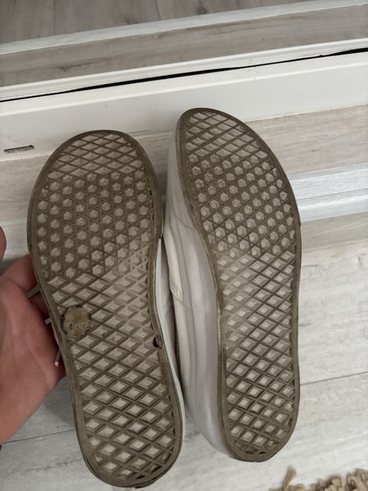 Tenesi Vans Authentic
