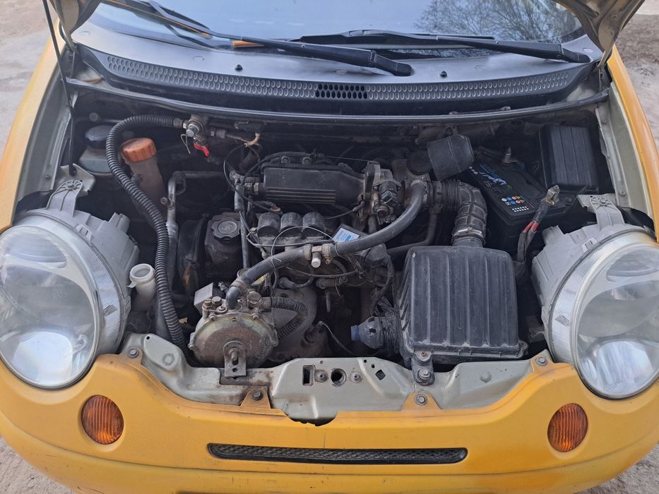 Motiz 2010 yil meton bor