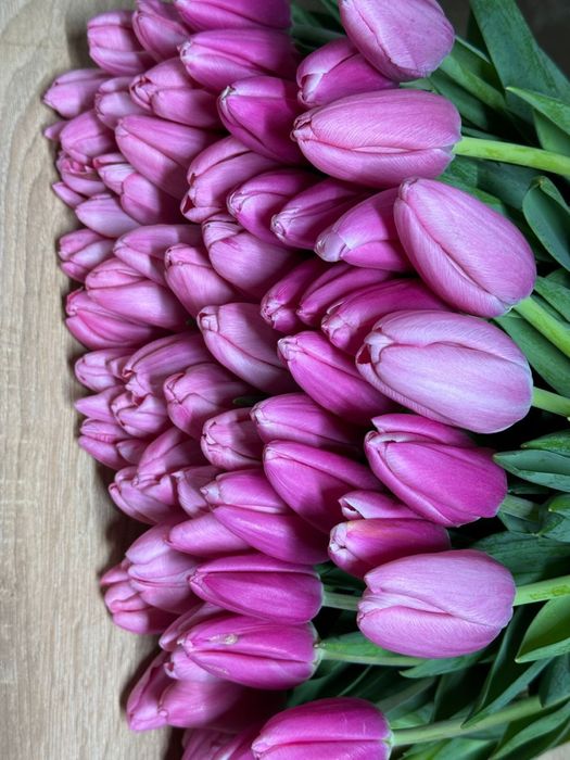 Корпаративные букеты из тюльпан