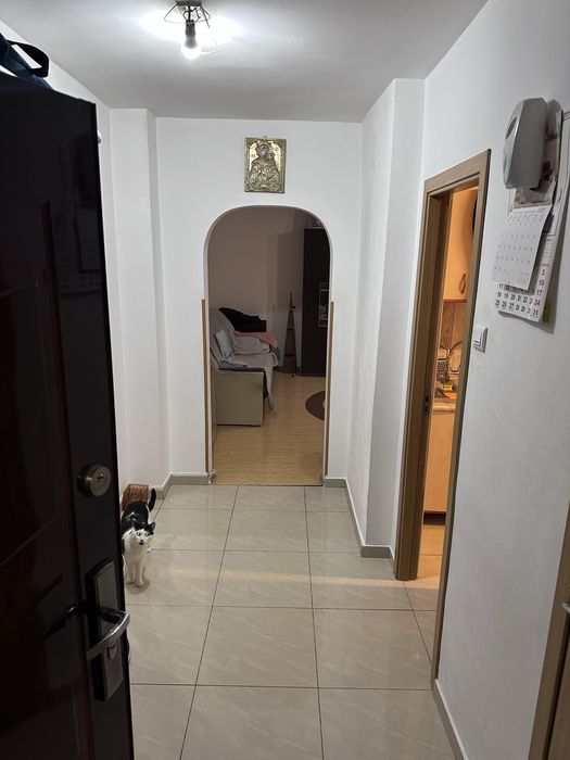 Vand 3 camere Carei Basarabia