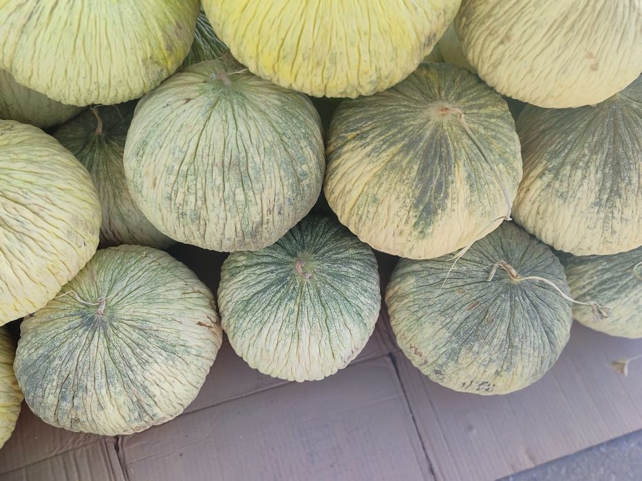 Зимние дыня арбузы. Кыстык кауын карбыз.