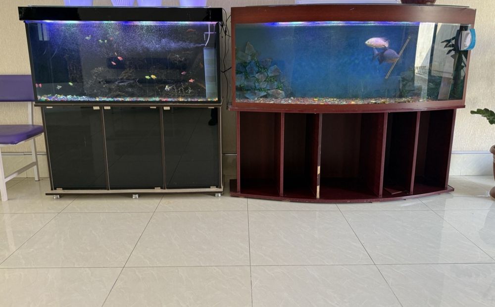 Akvarium sotiladi