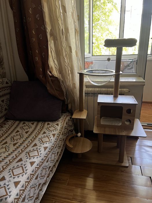 Домик для кошки, кота новый