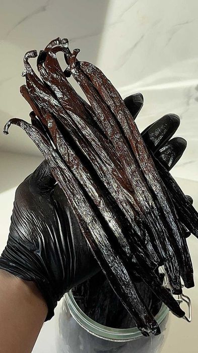 Pastai de vanilie Mexic 22-24cm