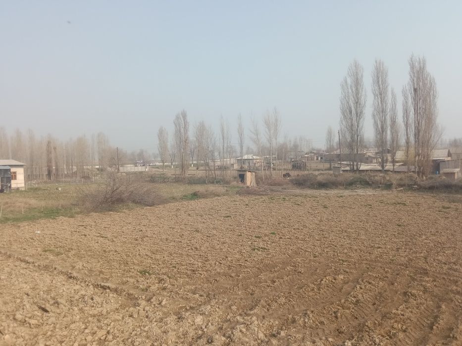 Курик йер 8 сотих сотилади