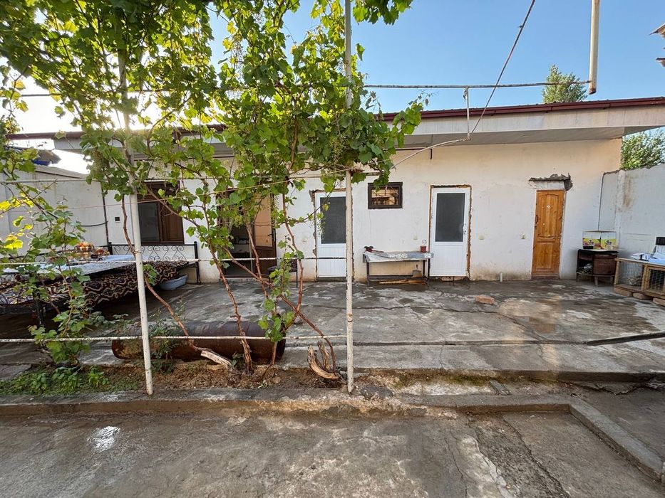 Срочна учаска сотилади қибрай майиский