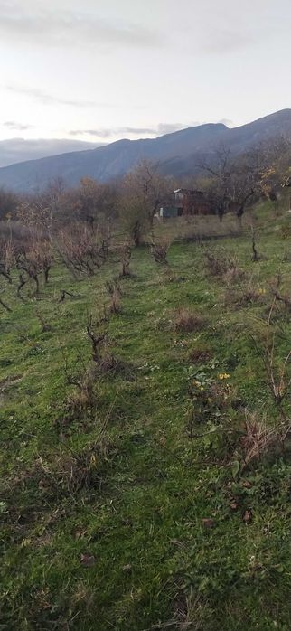 Вилен Имот Карлово