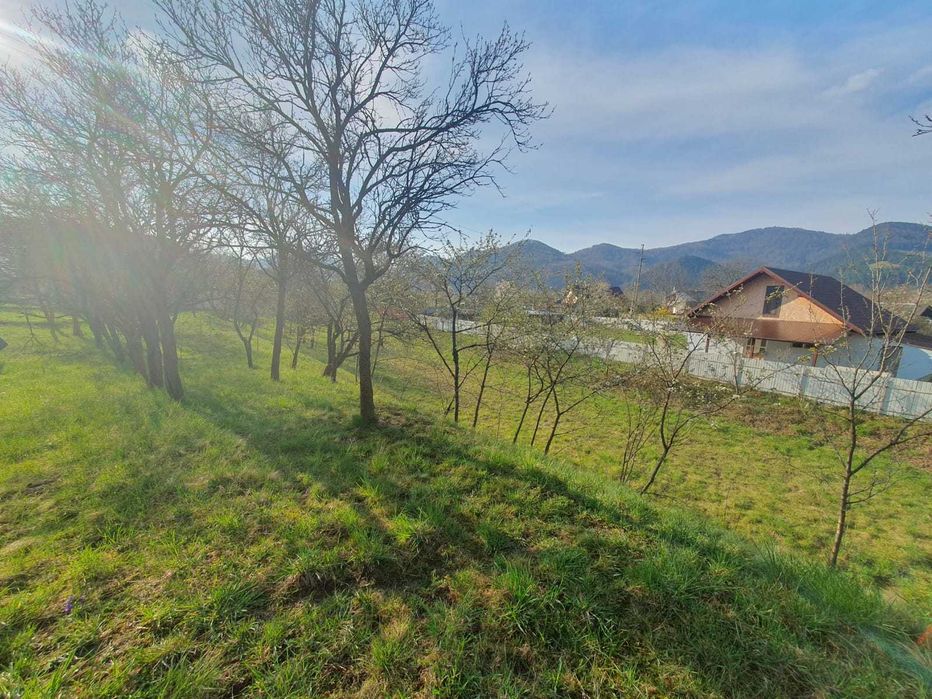 Teren(grădină) în Viișoara cu suprafața de 1800 m²
