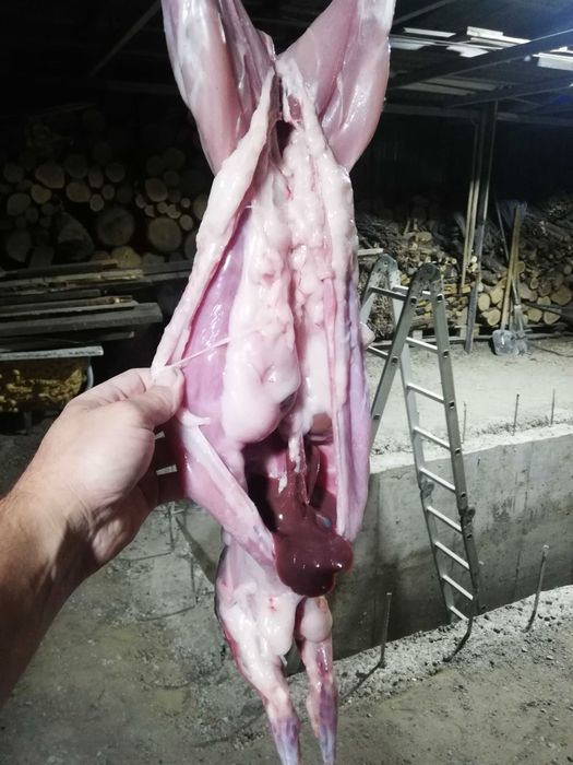 Мясо Кролика домашнее