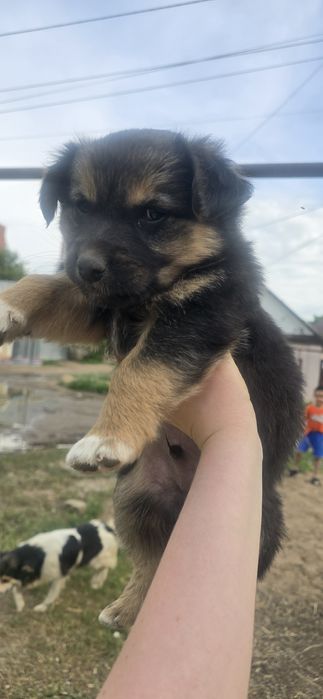 Чудеснейшие мальчики и девочки
