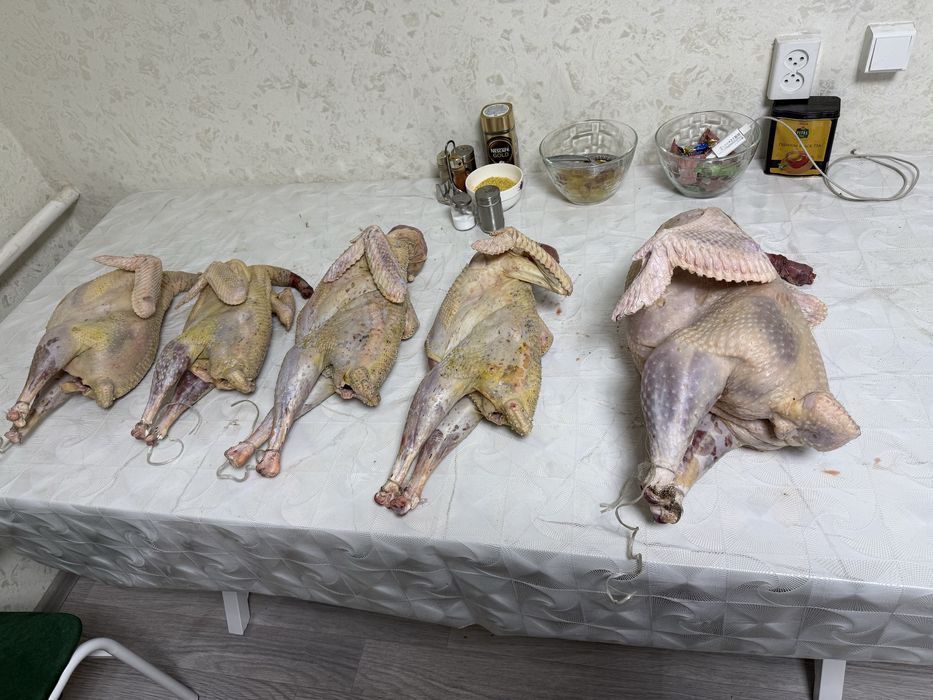 Таза қолдың индюктері