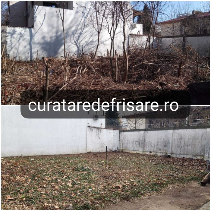 Curatare teren, vegetatie, ambrozie, toaletare, tocare crengi