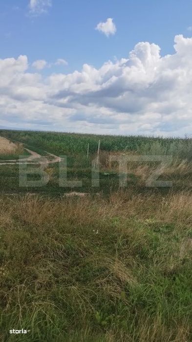 Teren de vanzare, pozitie excelenta, pentru investitie, in Cristian