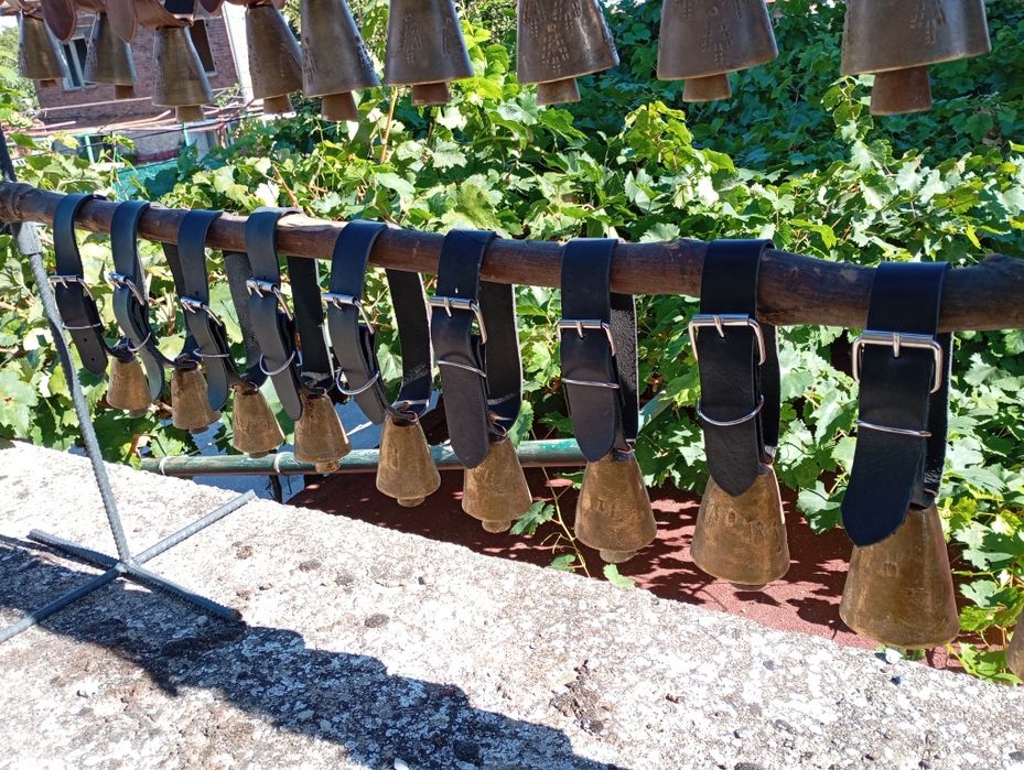 Чанове Звънци два модела