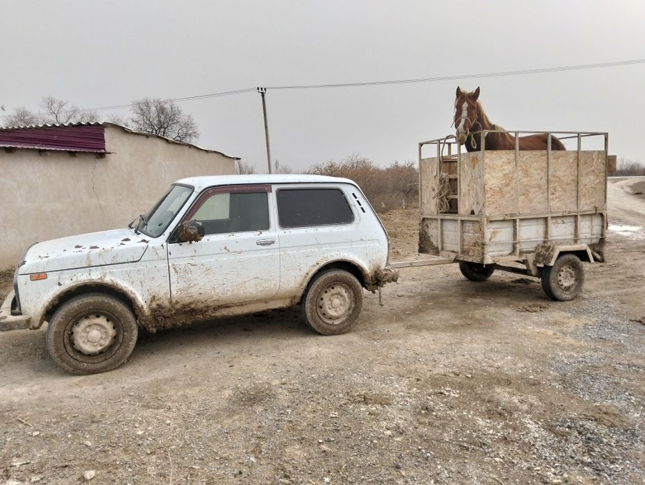 Прицеп мал, зат тасуга