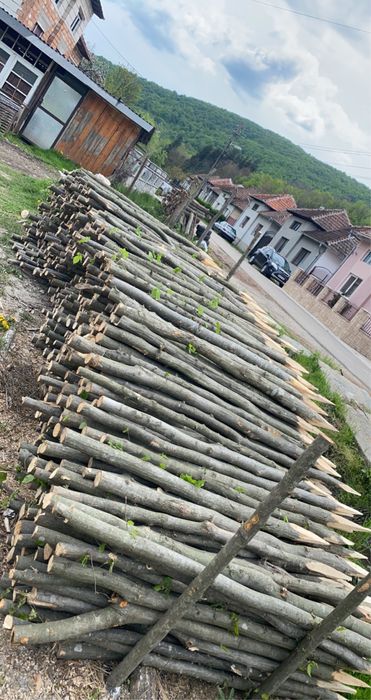 Vând parii gard eletric, vie, rosii, fasole,gard.