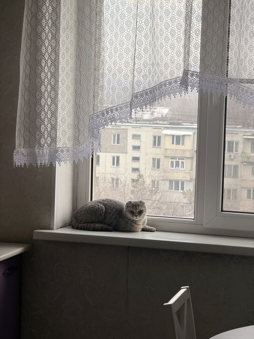 Отдам в хорошие руки