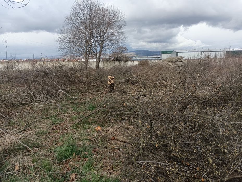 Почистване на запустели терени